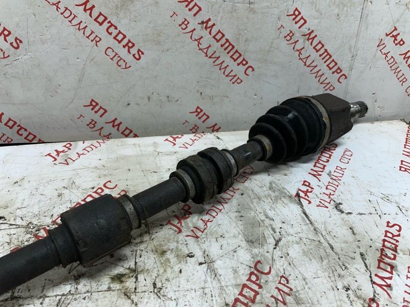 Привод, 5000 рублей, Владимир