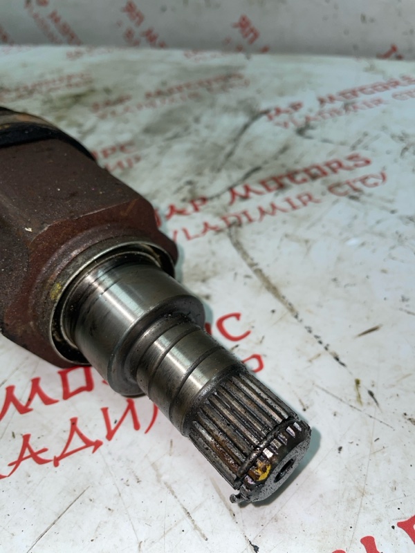 Привод, 5000 рублей, Владимир