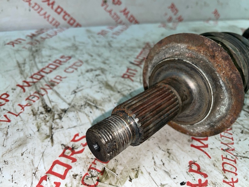 Привод, 4000 рублей, Владимир