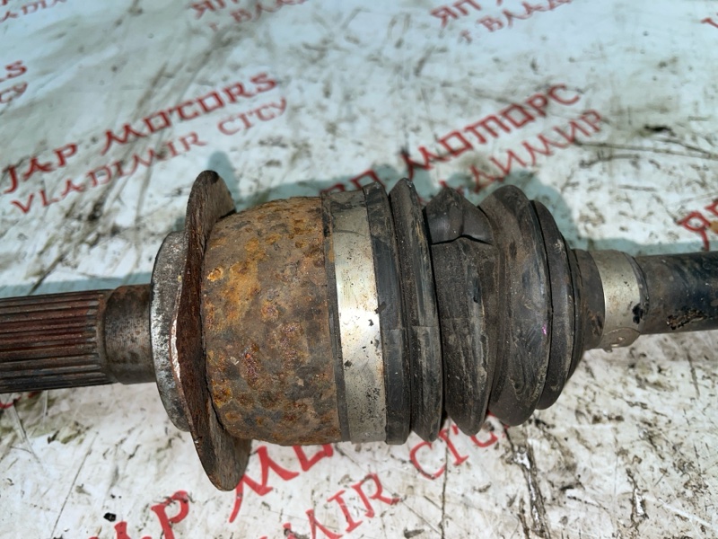 Привод, 4000 рублей, Владимир