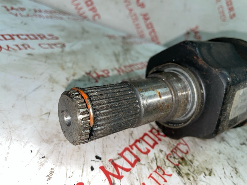 Привод, 5000 рублей, Владимир