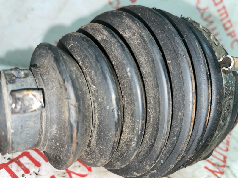 Привод, 5000 рублей, Владимир