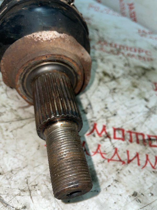 Привод, 5000 рублей, Владимир