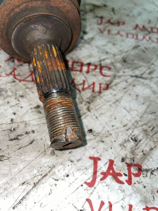 Привод, 3500 рублей, Владимир