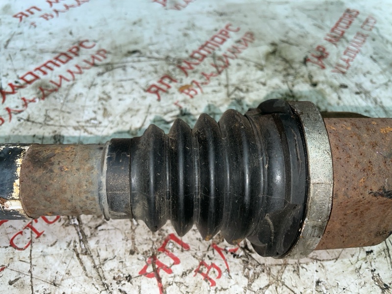 Привод, 4000 рублей, Владимир