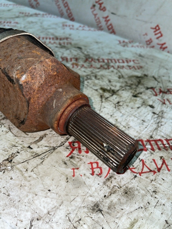 Привод, 4000 рублей, Владимир