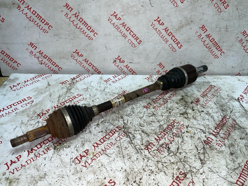 Привод, 4000 рублей, Владимир