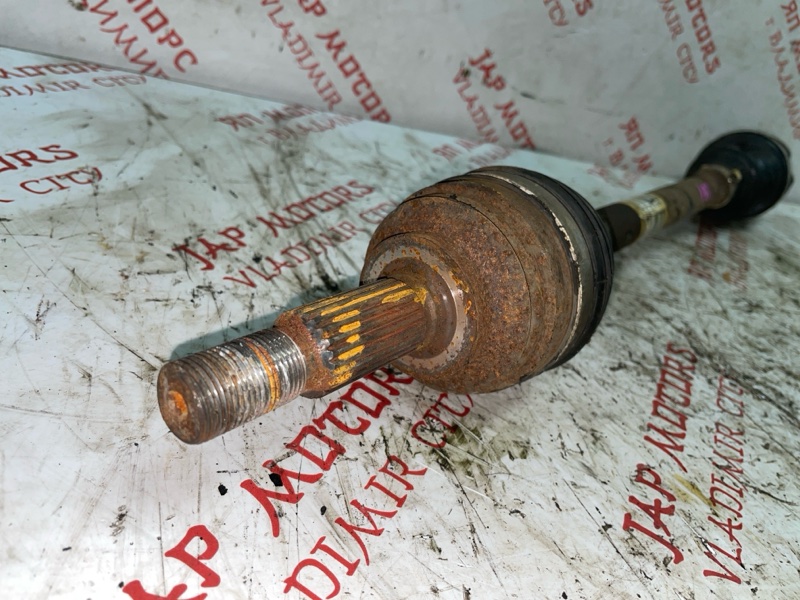 Привод, 4000 рублей, Владимир