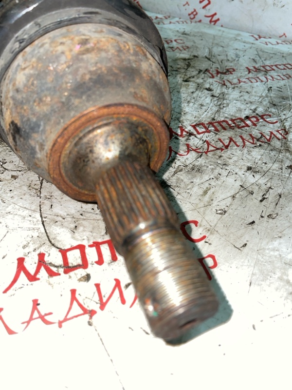 Привод, 5000 рублей, Владимир