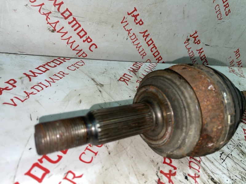 Привод, 6000 рублей, Владимир