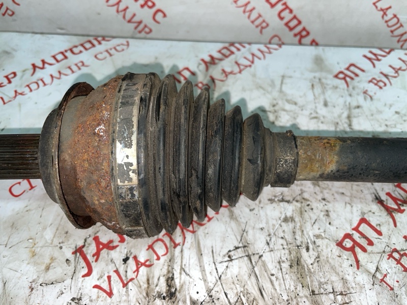 Привод, 6000 рублей, Владимир