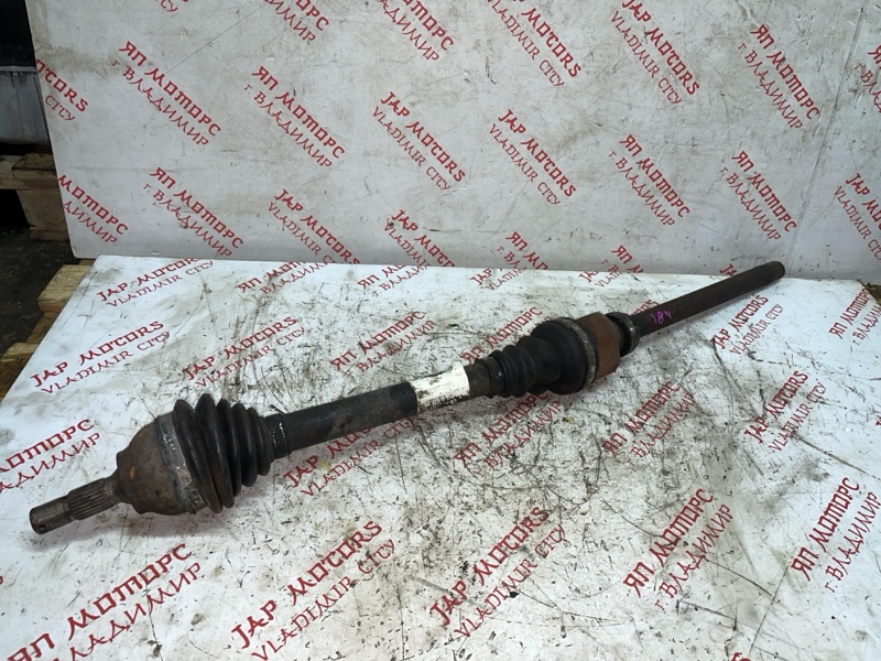 Привод, 6000 рублей, Владимир