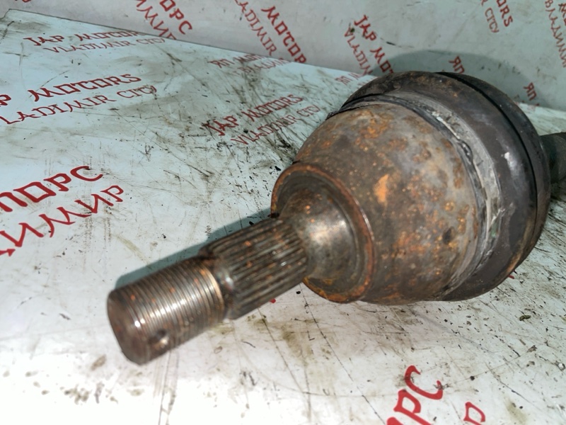 Привод, 6000 рублей, Владимир