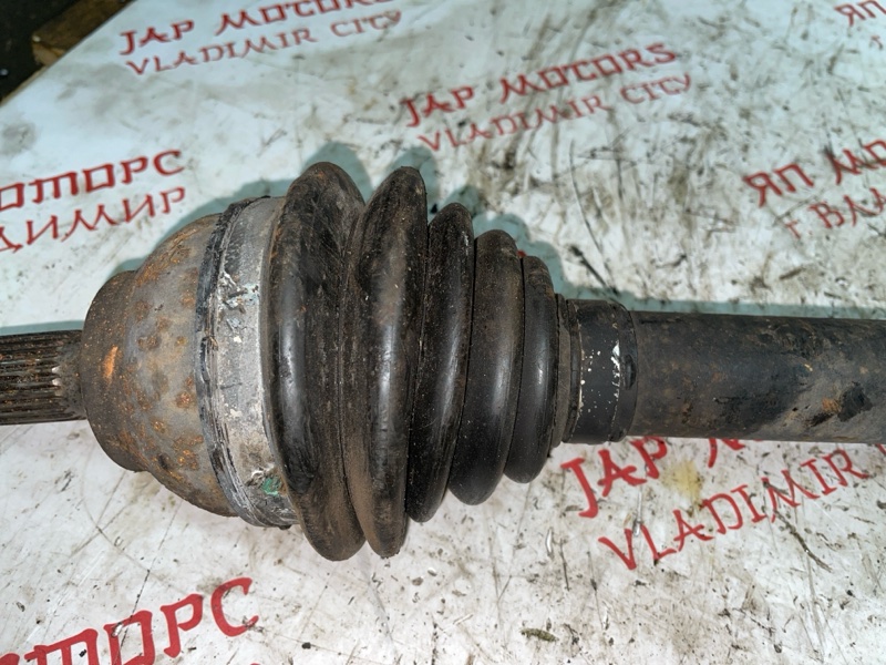 Привод, 6000 рублей, Владимир