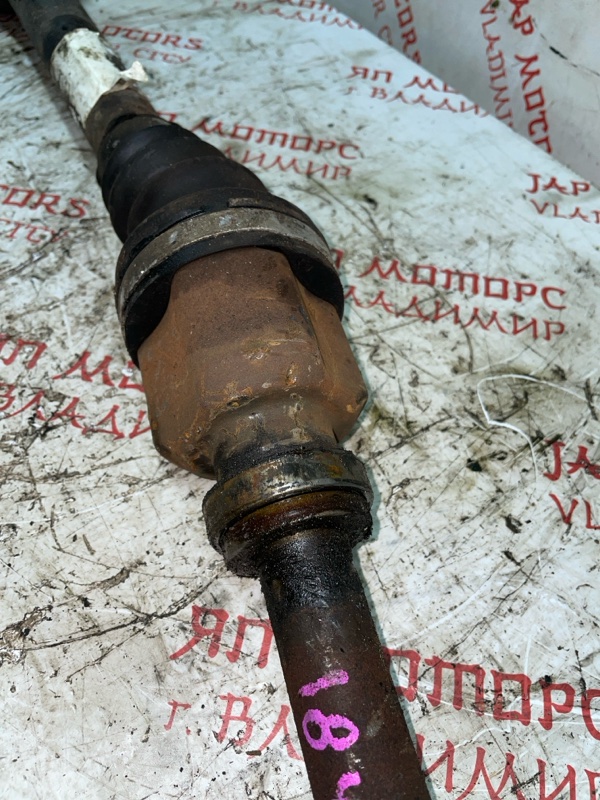 Привод, 6000 рублей, Владимир