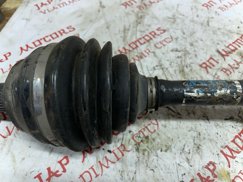 Привод, 8000 рублей, Владимир