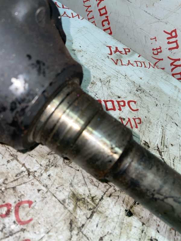 Привод, 8000 рублей, Владимир