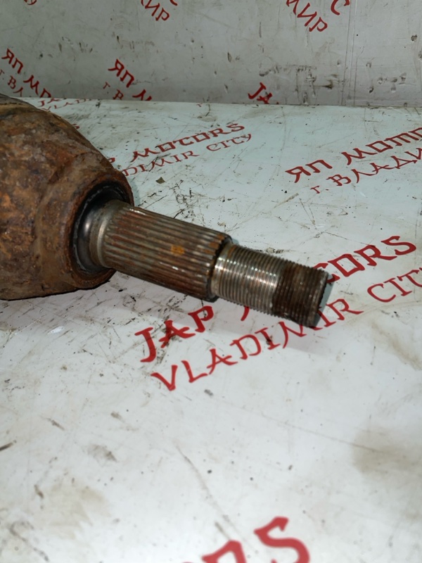 Привод, 10000 рублей, Владимир