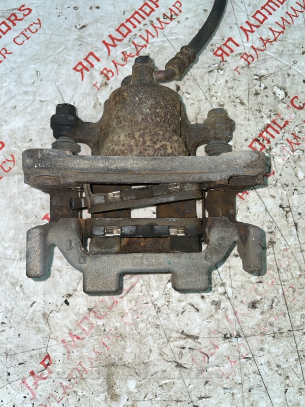 Суппорт тормозной, 2000 рублей, Владимир