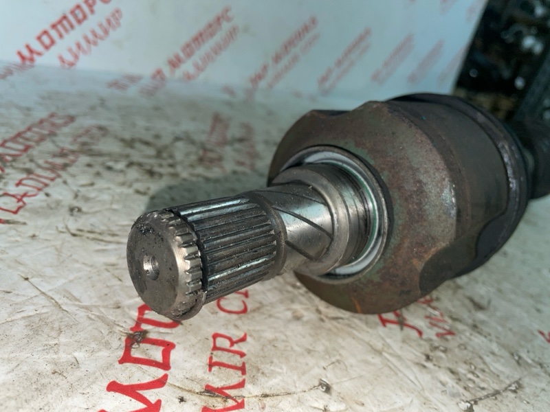 Привод, 4000 рублей, Владимир