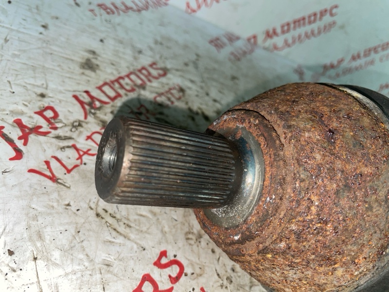 Привод, 8000 рублей, Владимир