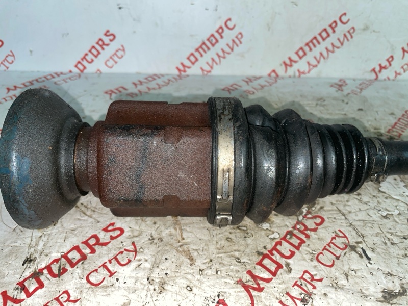 Привод, 5000 рублей, Владимир