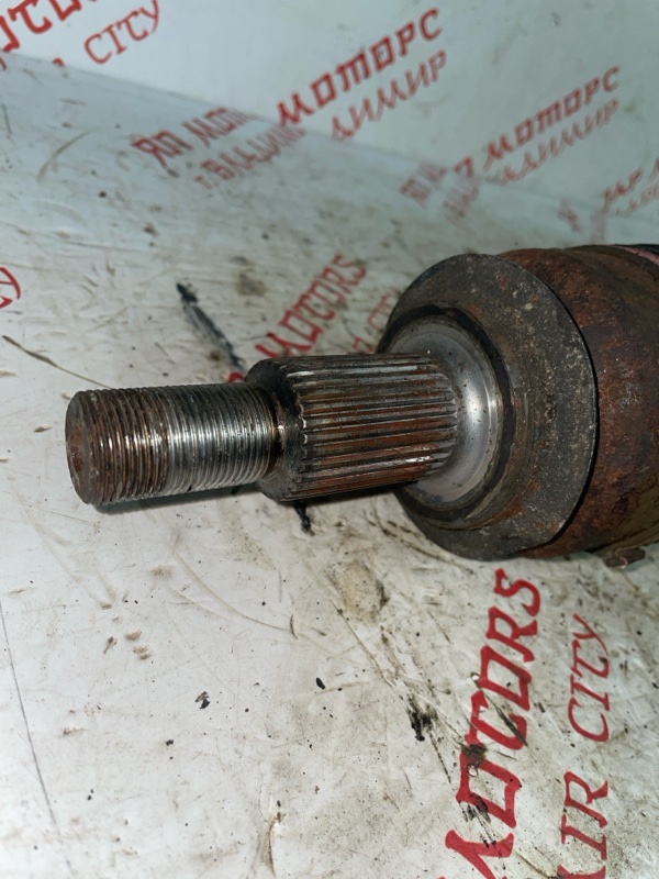 Привод, 5000 рублей, Владимир