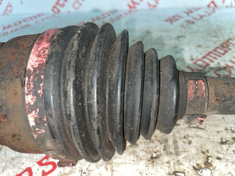 Привод, 5000 рублей, Владимир