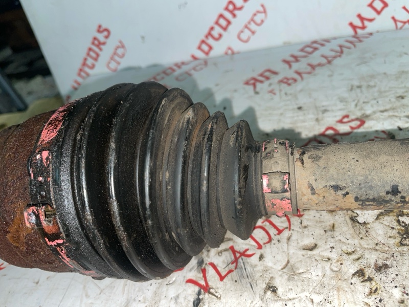 Привод, 8000 рублей, Владимир