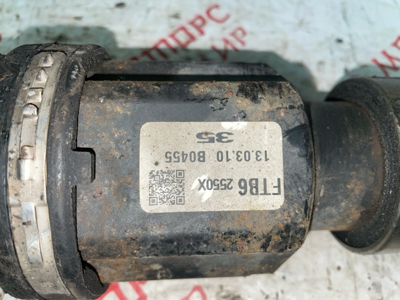 Привод, 8000 рублей, Владимир