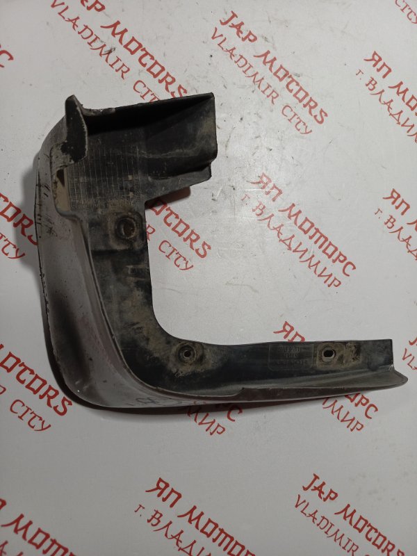 Брызговик, 1000 рублей, Владимир