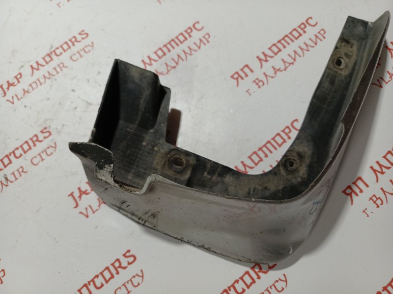 Брызговик, 1000 рублей, Владимир