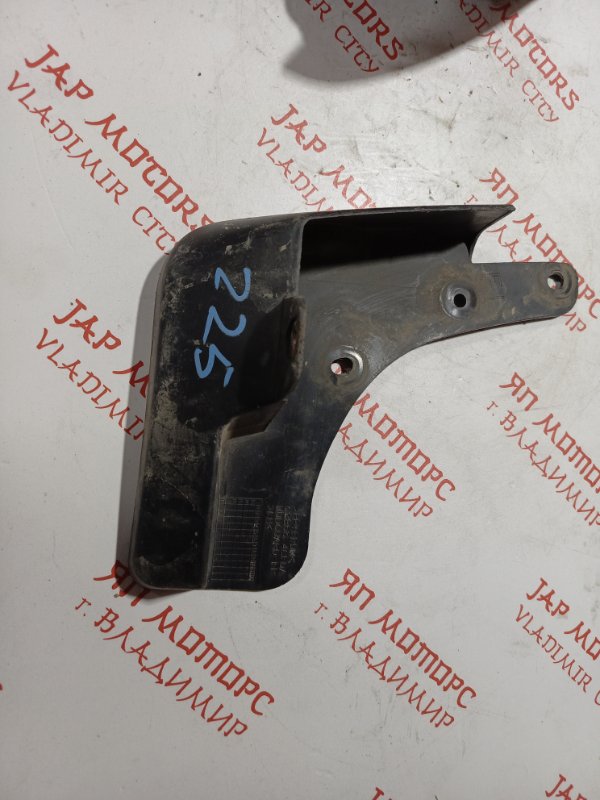 Брызговик, 1000 рублей, Владимир