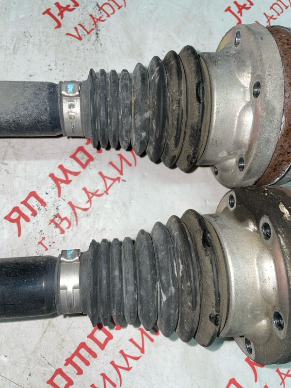 Привод, 4000 рублей, Владимир