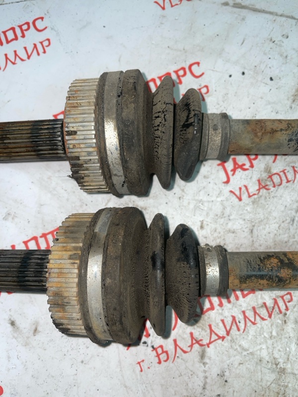 Привод, 6000 рублей, Владимир