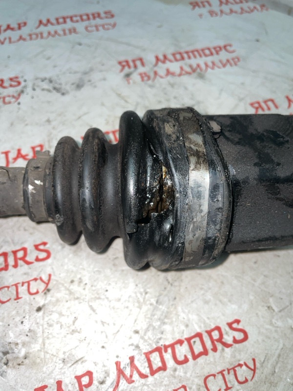 Привод, 8000 рублей, Владимир