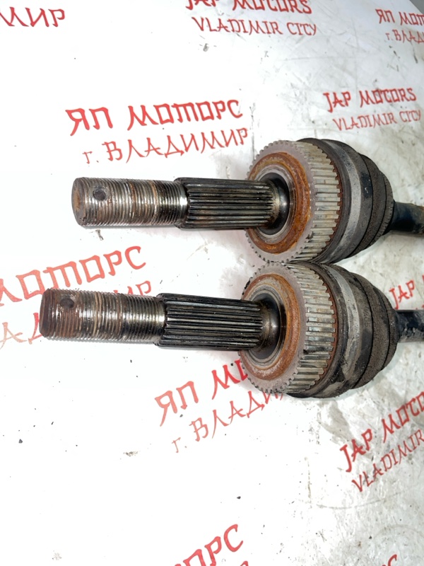 Привод, 6000 рублей, Владимир