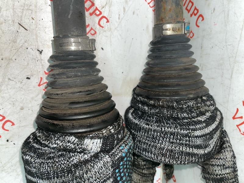 Привод, 5000 рублей, Владимир