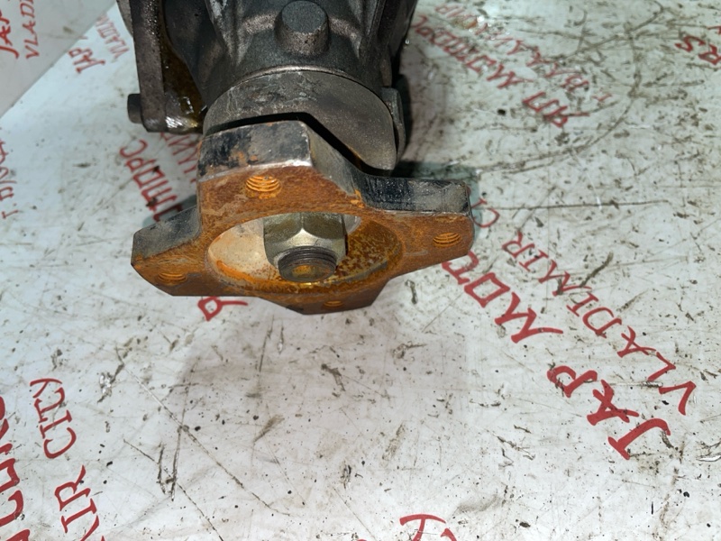 Раздатка, 5000 рублей, Владимир