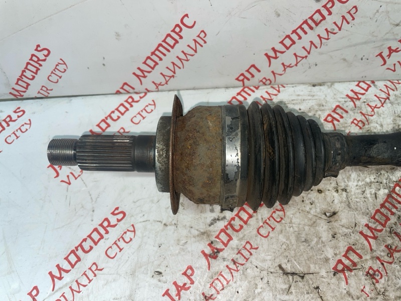 Привод, 3000 рублей, Владимир