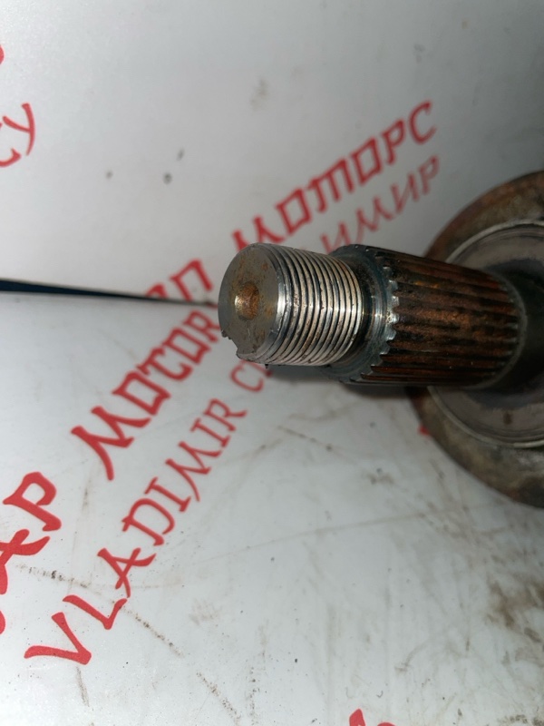 Привод, 3000 рублей, Владимир