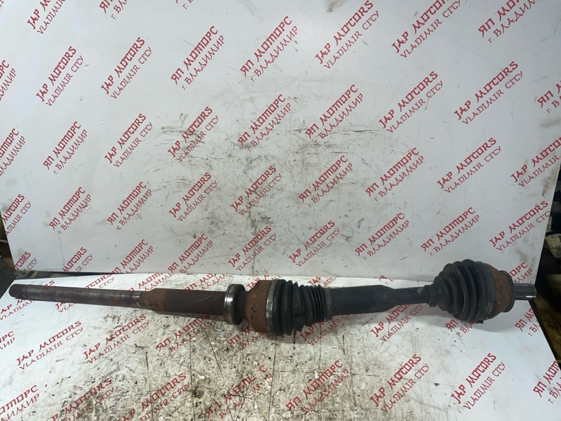 Привод, 7000 рублей, Владимир