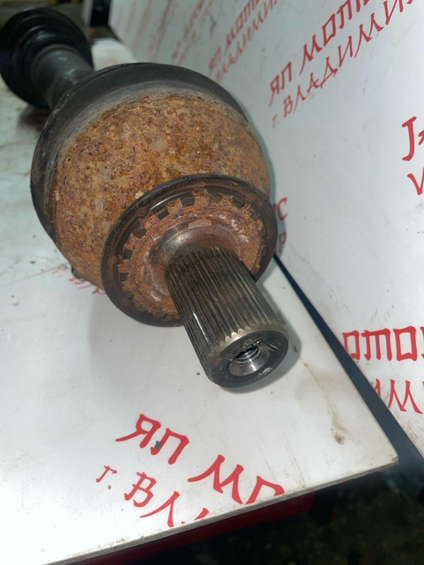 Привод, 7000 рублей, Владимир