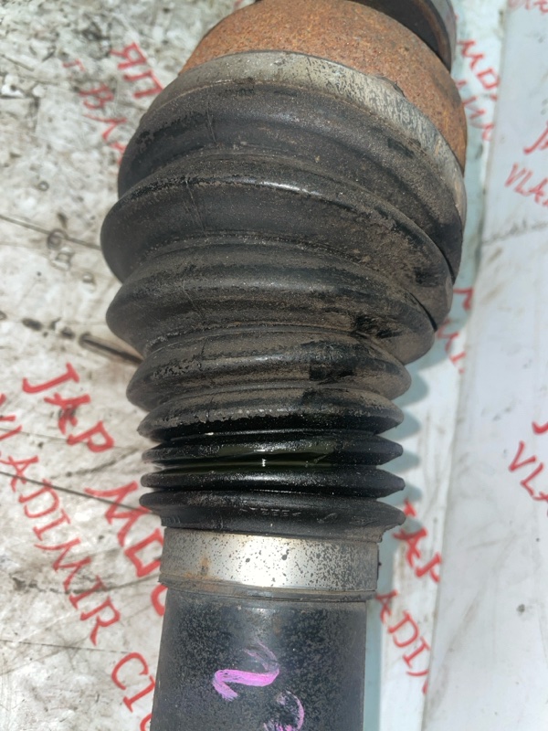 Привод, 7000 рублей, Владимир