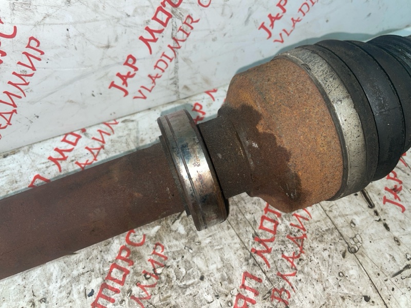 Привод, 7000 рублей, Владимир