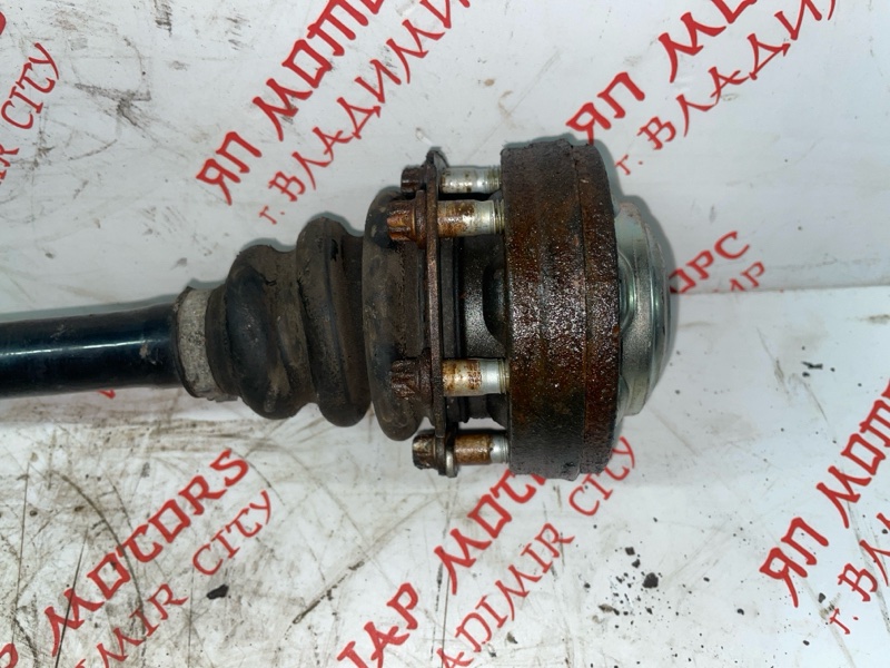 Привод, 8000 рублей, Владимир