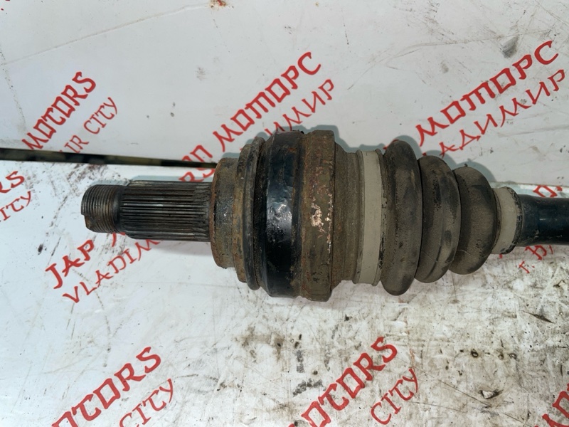 Привод, 8000 рублей, Владимир