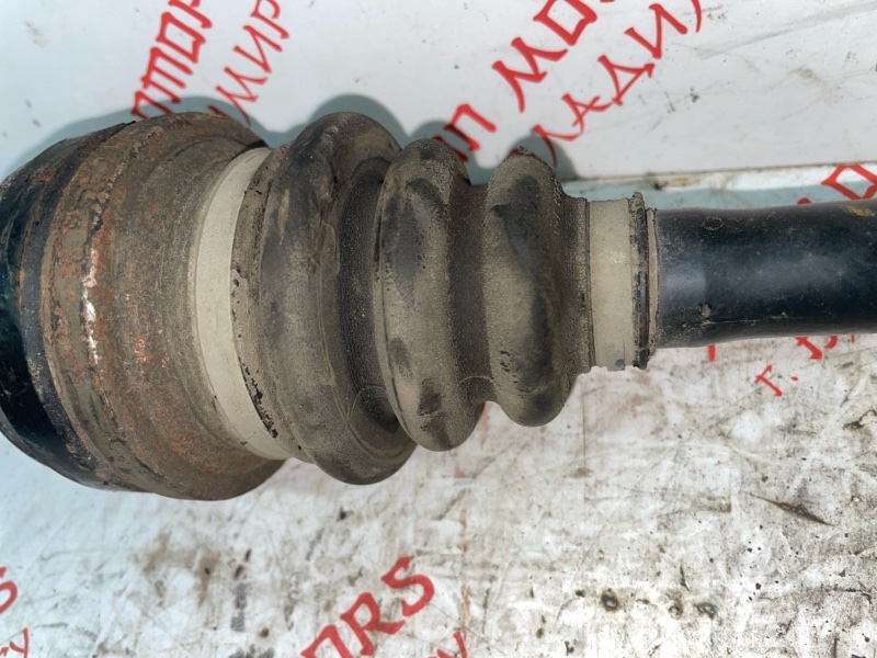 Привод, 8000 рублей, Владимир