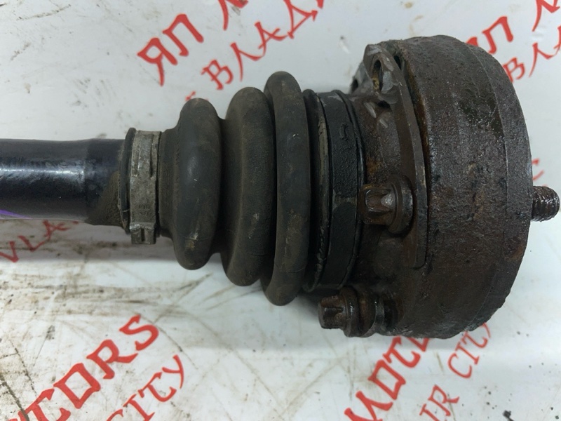 Привод, 8000 рублей, Владимир