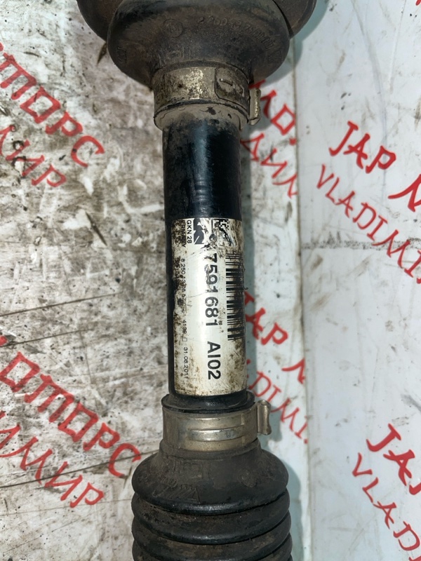 Привод, 4500 рублей, Владимир